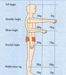 Manual Handling Hse