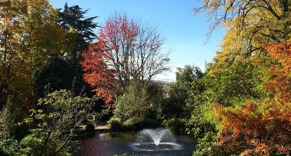 Ponds | Grounds and Gardens | University of Exeter