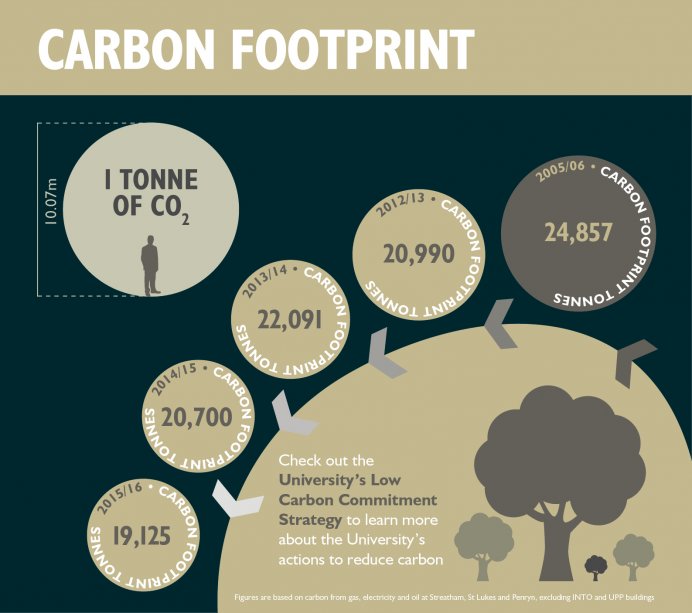 average carbon footprint