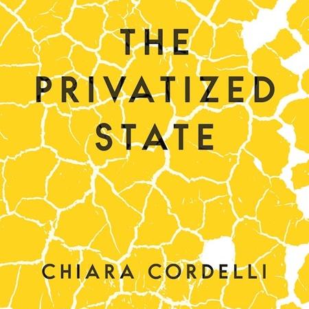 the privatized state book cover