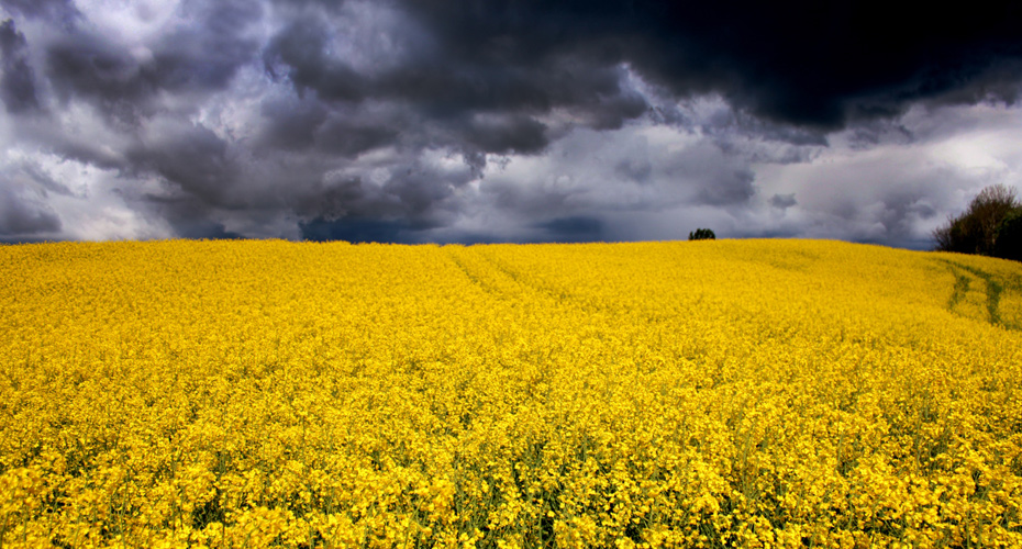 Uk Climate Risk In Pictures Global Systems Institute University Of