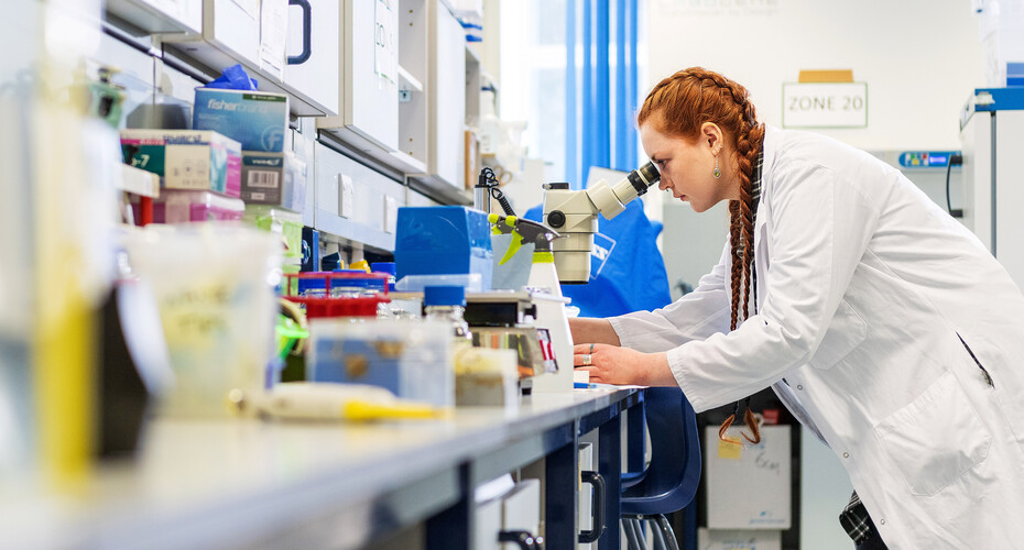 A student leaning over a microscope on a lab bench covered in equipment