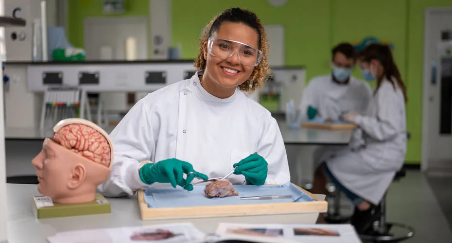 Biomedical student receiving practical tutorials on anatomy.