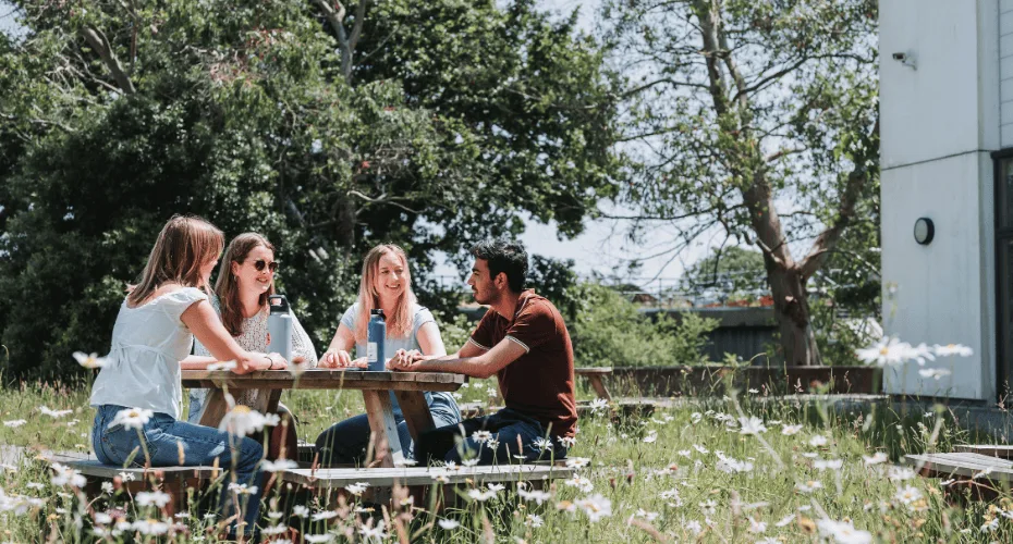 Four postgraduate students sitting at a bench outside in the sunshine on Penryn Campus. They are surrounded by a meadow of oxeye daisies and trees,