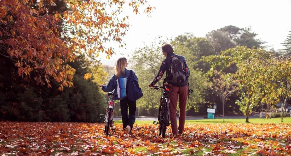 Students push their bikes through fallen leaves.