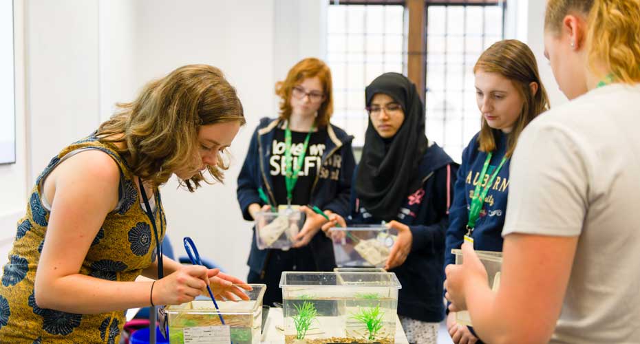 students undertake experiment looking at plants under water
