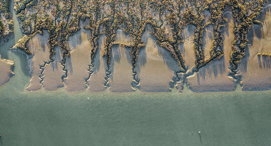 Aerial image of tributaries flowing into sea