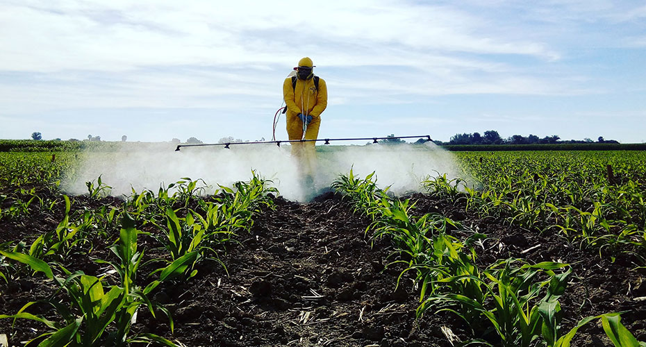Farmer spraying pesticide onto crops