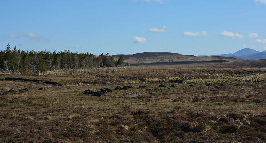 Peat landscpe on moorland