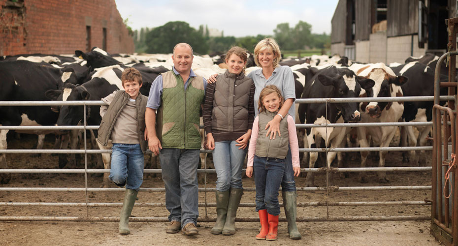 Family posing in front of barn with cows.