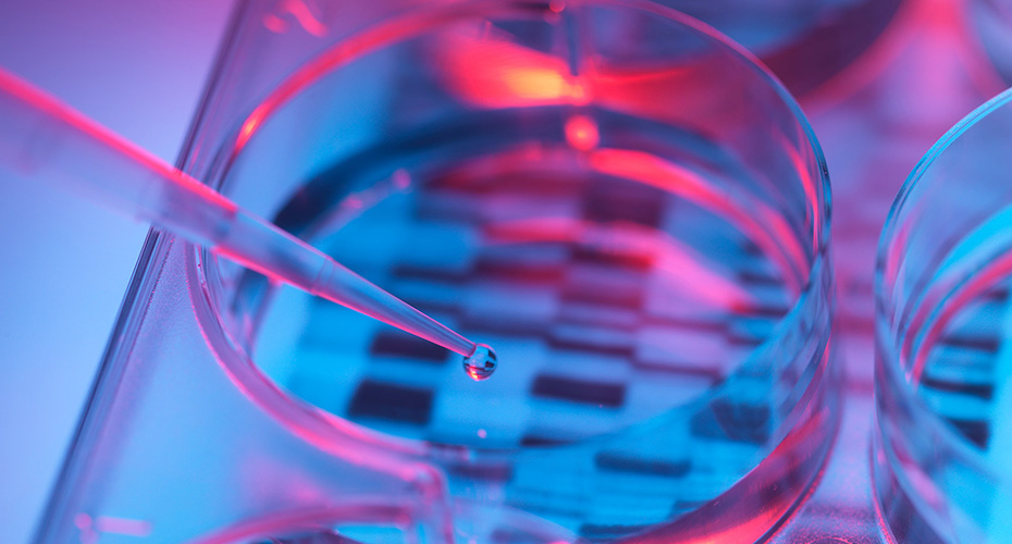 A petri dish, lab, droplet, dropper, blue, pink, purple, medical experiment or test