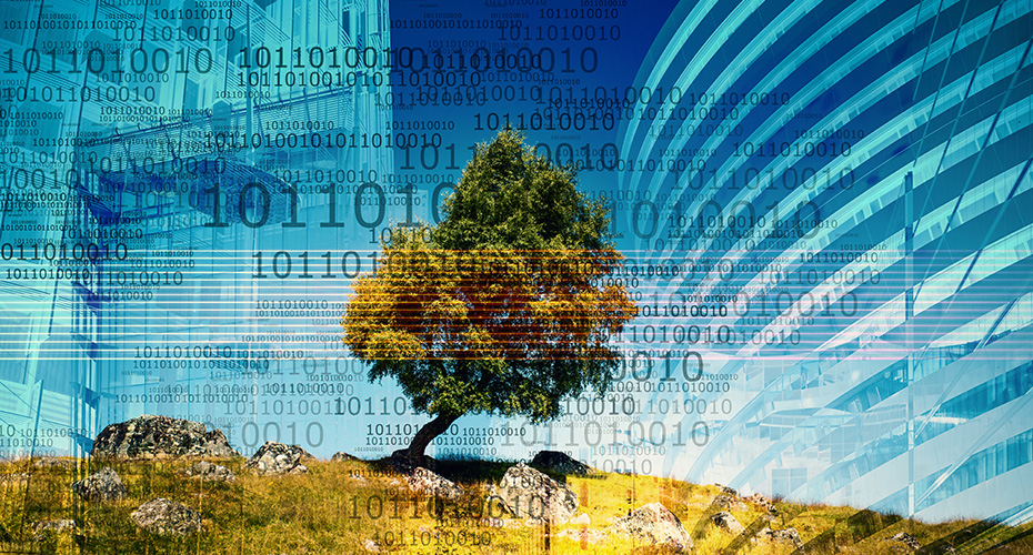 Nature and technology photo montage. Tree on hill