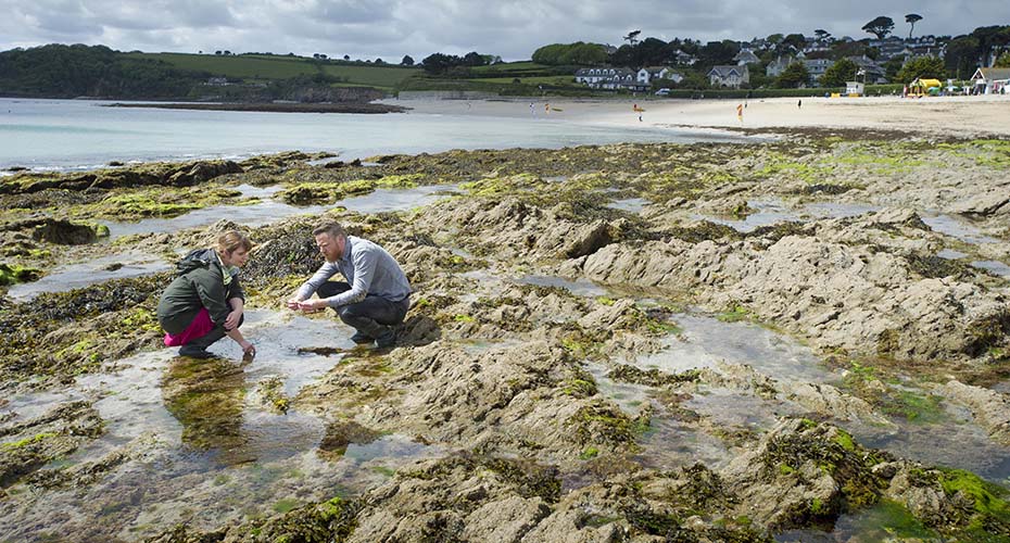 A man and woman looking at nature in rockpools