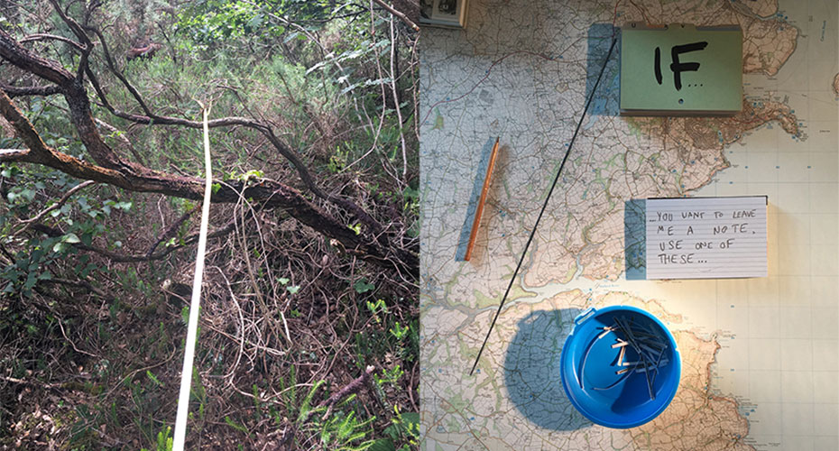 A split image: the left side shows a dense forest with a measuring tape stretched out through the underbrush and trees. The right side shows a tabletop with a map, a blue container filled with small sticks, a pencil, and a note reading 