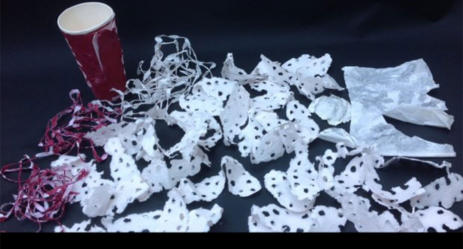 A collection of torn and shredded paper pieces scattered on a black surface. Among the debris is a red and white paper cup, partially intact, with some of the shredded material appearing to be its remnants. The pieces vary in size and shape, suggesting a theme of deconstruction or recycling.