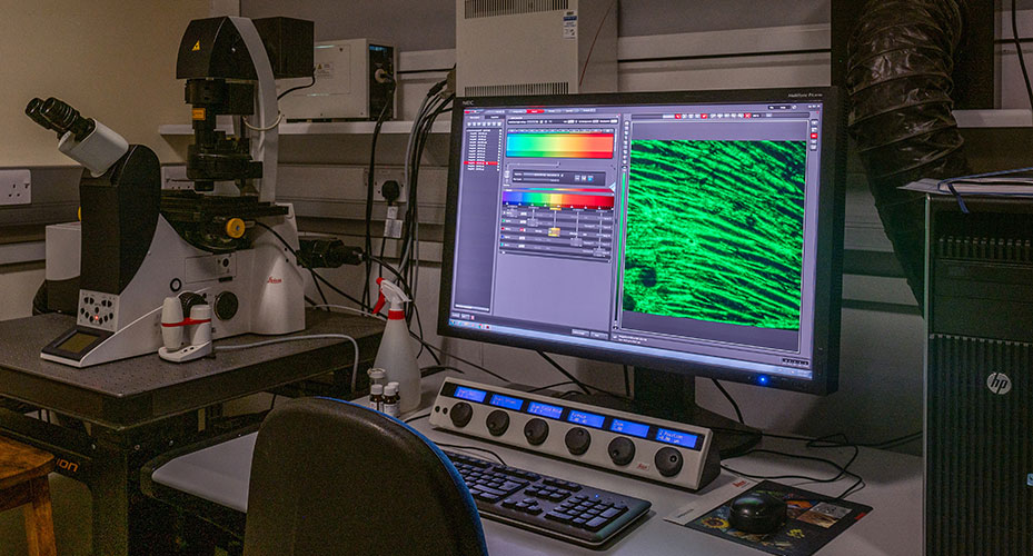 Leica TCS SP8 Confocal Laser Scanning Microscope