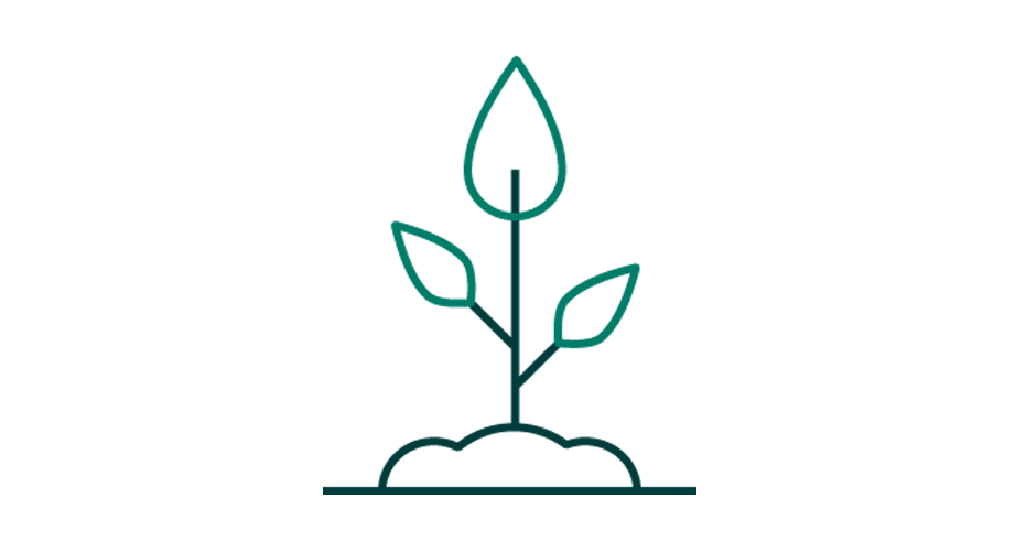 Seedling icon