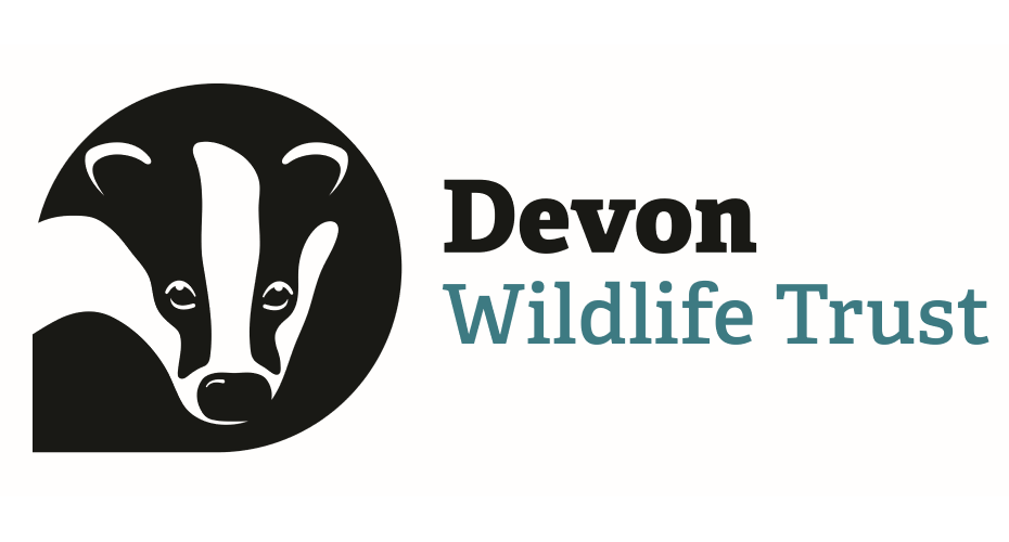 Logo for the devon wildlife trust.
