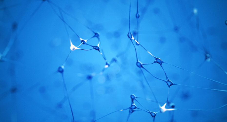 Image of pale blue neuron structure in front of blue background