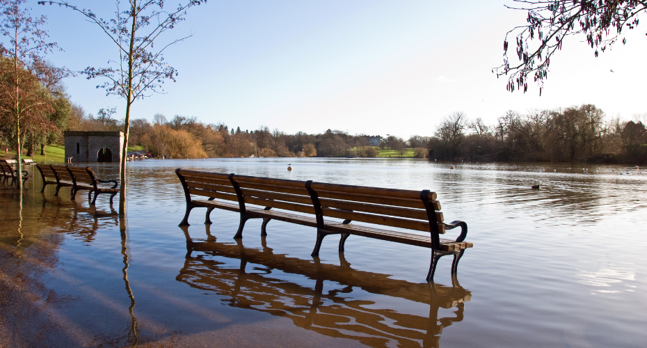 Bench with flood water all around it.