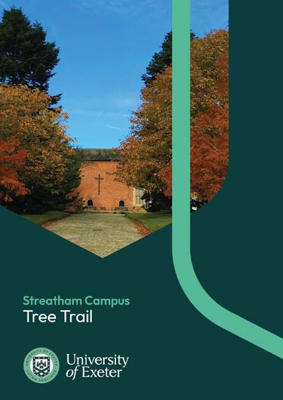 A screenshot of the cover of the Tree Trail