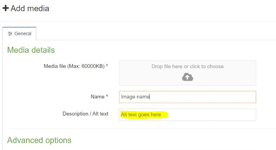 Screen grab showing where to add image alt text in the media library of the University CMS