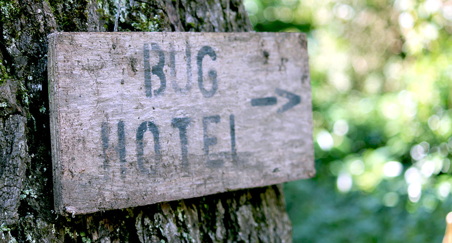 bug-hotel-sign