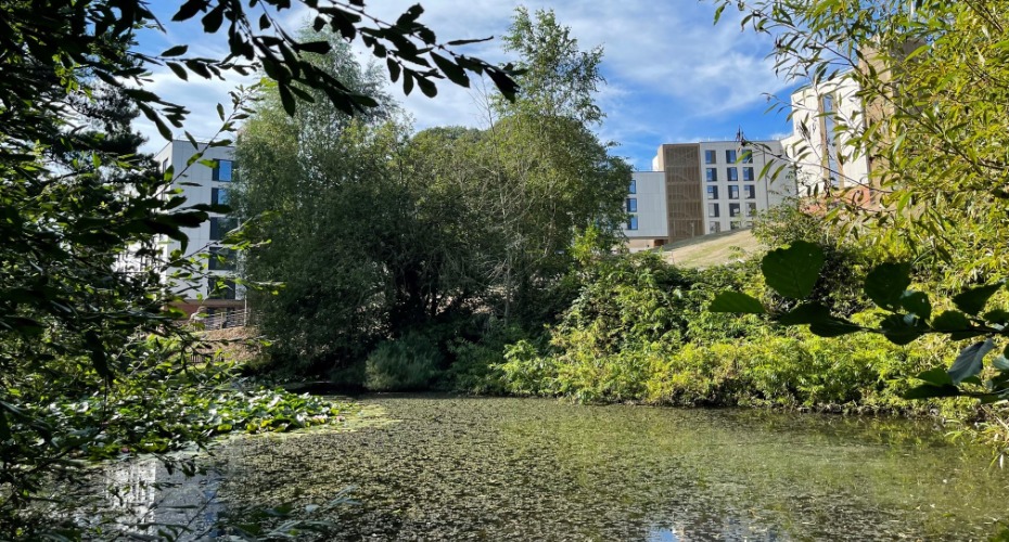 East Park view from the ponds