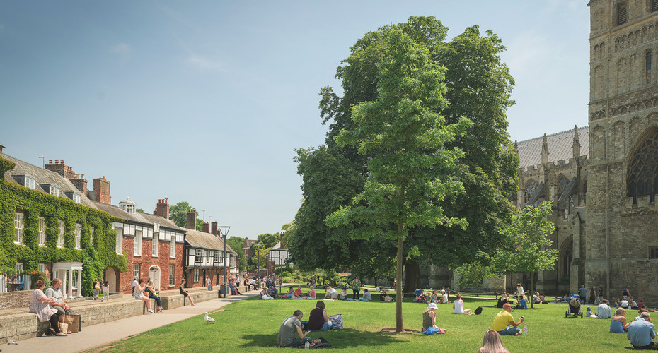 Exeter Cathedral Green