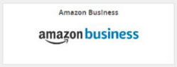 The Amazon Business logo from Advanced, which leads to the punch-out.