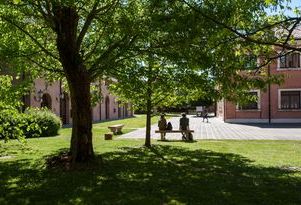 A peaceful courtyard adorned with trees and benches, located in front of a beautiful building.