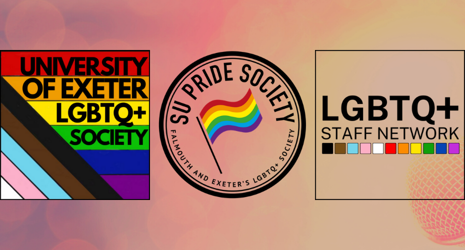 HC LGBT+ HM Statement 2021