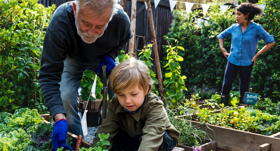 Community Garden 