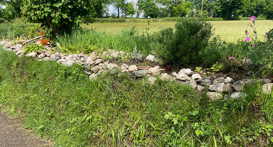 Dry stone wall planted with flowers