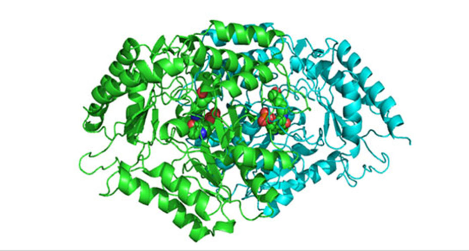 Thermogene