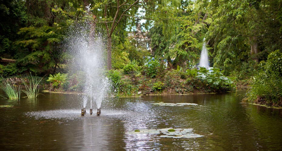 Close up of fountains in Reed Pond